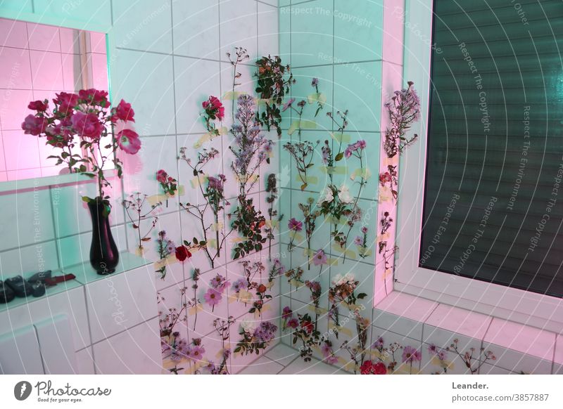 Blumenbad Badezusatz Blumenstrauß sureal Surrealismus bunt farbenfroh Kreativität Kunst Badewanne Badezimmer Wand rosa magenta grün Fliesen