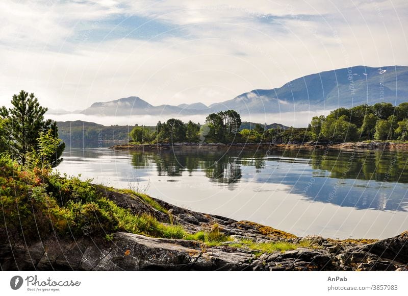 Nebel über bewachsende Felsen im Fjord Rovdefjord Norwegen Natur Skandinavien Wasser Himmel Wolken Ferien & Urlaub & Reisen Meer Europa Horizont