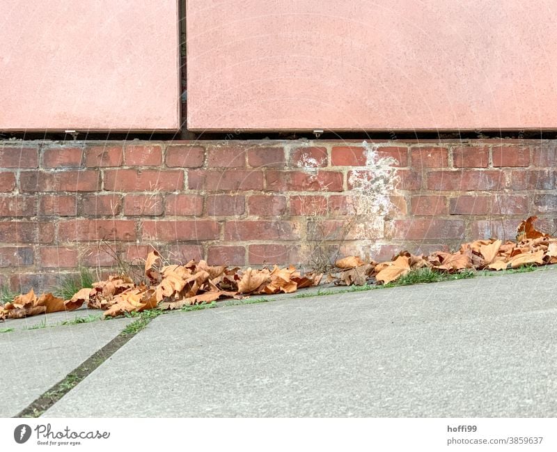 Herbstlaub auf einem schrägen Wer vor einer Backsteinmauer Herbstfärbung Blatt herbstlich Herbstwetter herbstliche Farben natürlich Herbstlandschaft