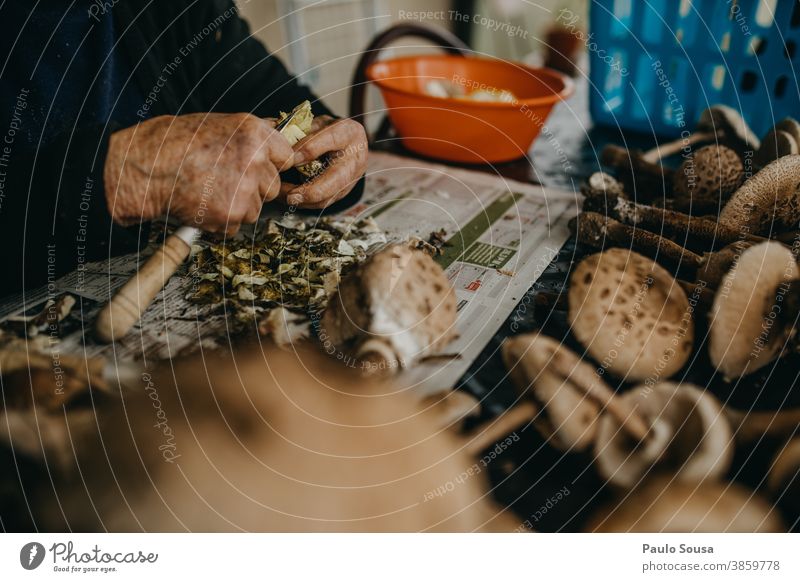 Ältere Frau beim Zubereiten von Pilzen essbar Speisepilz Vorbereitung Lebensmittel Farbfoto Herbst Natur lecker Außenaufnahme Wald Umwelt Ernährung Nahaufnahme