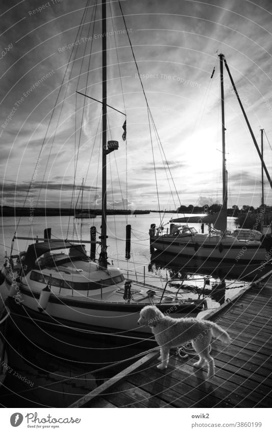 Wachschutz Wasser Schönes Wetter Himmel Wolken Horizont Jacht Segelboot Hafen Anlegestelle Sportboot Schifffahrt dunkel Sicherheit ruhig Idylle Zufriedenheit