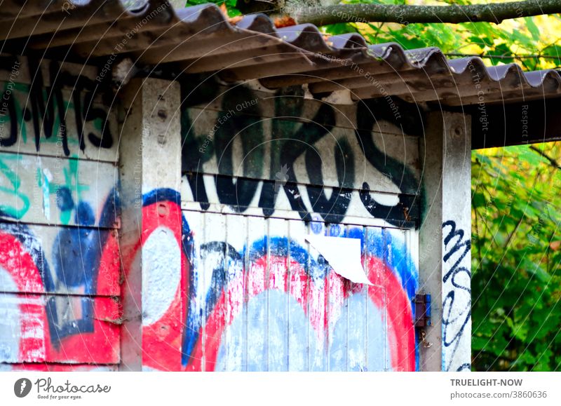 Kunst am Bau | im Fokus. Beton Hütte mit Wellblech Dach am Bahndamm, verschmiertes, blau rotes Graffiti, groß und fett das Wort FOKUS, ein halb abgerissener Zettel und neben dem Gebäude grünes Buschwerk und ein paar Zweige
