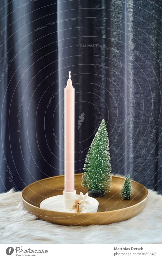 Weihnachtsdekoration Weihnachten & Advent Dekoration & Verzierung dekorieren Winter Tanne Tannenbaum Kerze Engel