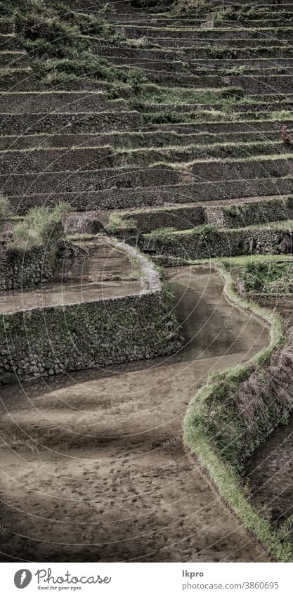 Terrassenfeld für den Reisanbau Banane Philippinen Berge u. Gebirge Natur ifugao Asien Feld Landschaft reisen Ackerbau Tal schwarz Bauernhof Vietnam