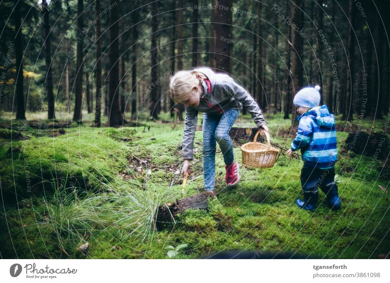 Zwei Kinder am Pilze sammeln im Wald Außenaufnahme Herbst Natur Kindheit pilze sammeln pilze suchen Moos Moosteppich Farbfoto Umwelt natürlich frisch Waldboden