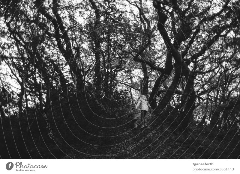 Kinder besteigen einen Hügel im Wald Baum gruselig dunkel Schwarzweißfoto Außenaufnahme dunkle Stimmung bedrohlich Tag Herbst Angst Kontrast Einsamkeit
