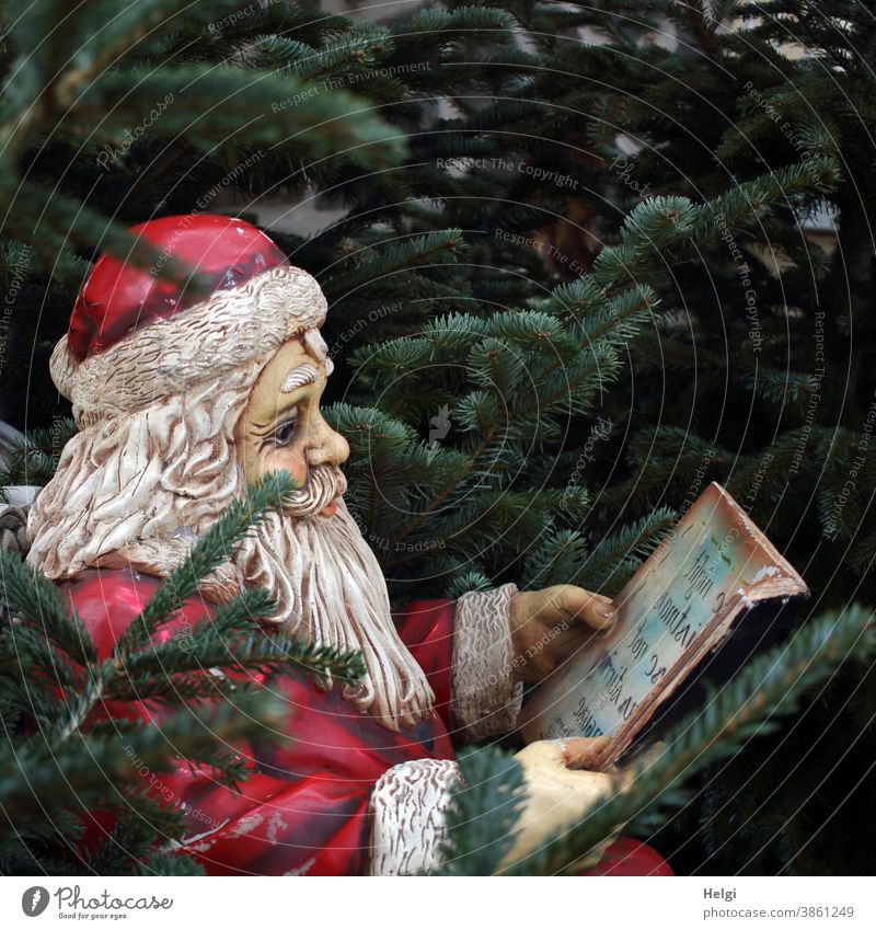 von drauß vom Walde komm ich her ... - Deko-Weihnachtsmann sitzt zwischen Tannenbäumen und hält ein Buch in den Händen Weihnachten Nikolaus Advent