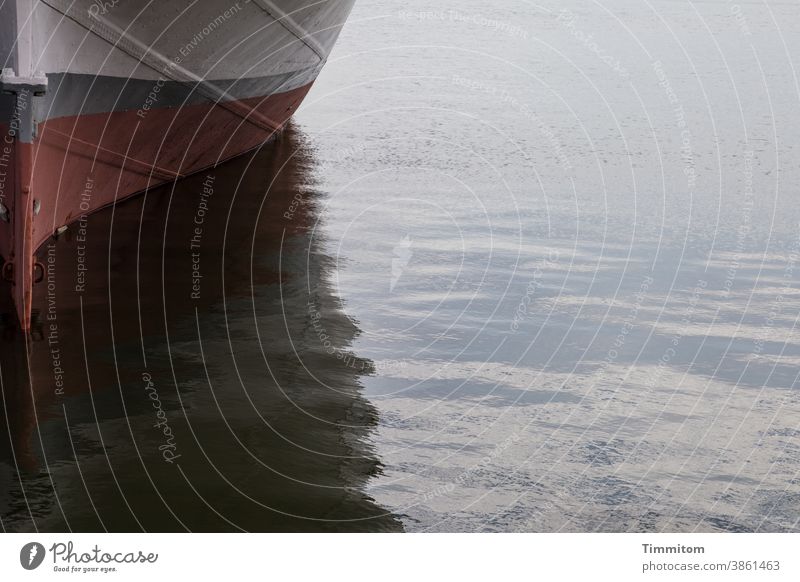 Ein Teil eines Fischerbootes Boot Binnenschifffahrt Ostsee ruhig Holz Bug Schatten Menschenleer Wasserfahrzeug Hafen Reflexion & Spiegelung