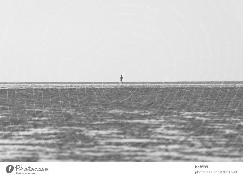 einsamer Mensch bei Ebbe im Wattenmeer Wattwandern außergewöhnlich Nordseeküste gehen alleine Einsamkeit Küste Winter Strand Nationalpark Silhouette Ferne