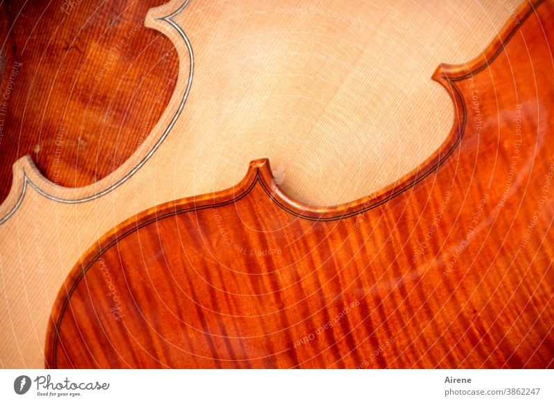 Farbkombination | philharmonisch Geige Geigenbau Musikinstrument Holz Edelholz Klang Ornament Klangkörper schwungvoll Harmonie geschwungen hellrot rotbraun Lack