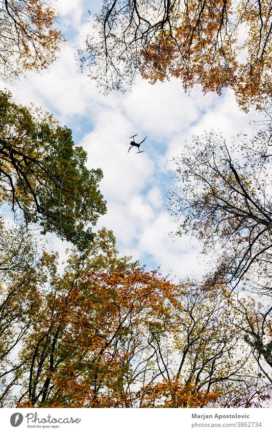 Drohne fliegt im Herbst über den Wald Abenteuer Antenne Air Hintergrund schön blau Ast hell Cloud Wolken farbenfroh Tag Dröhnen Umwelt erkunden fallen Flug
