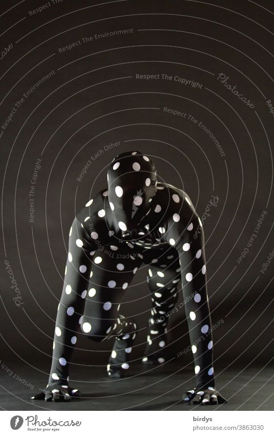 androgyne Person in einem gepunktetem  Morphsuite - Kostüm klettern starten Körperspannung Mensch Spiderman Aktion Punkte übernatürlich anonym unkenntlich