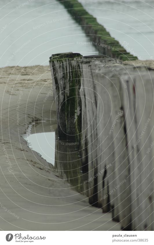 Strand Meer Holz Pfosten Pfütze Ebbe Wasser Nierlande Sand Flut