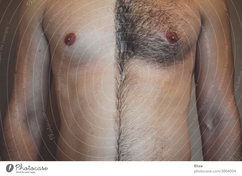 Männerbrust, die eine Hälfte rasiert und die andere behaart. Rasieren behaarung Mann Brust unentschlossen Rasur Körperbehaarung Körperpflege Behaarung maskulin