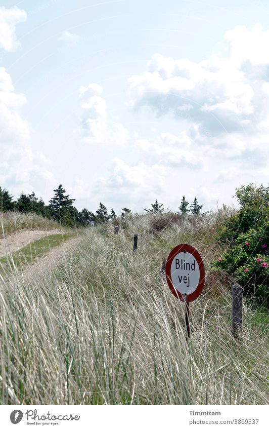 Ein schöner Weg mit hübschem Hinweisschild Dänemark Urlaub Sackgasse Menschenleer Verkehr Schilder & Markierungen Flora Himmel Wolken Urlaubsstimmung Gräser