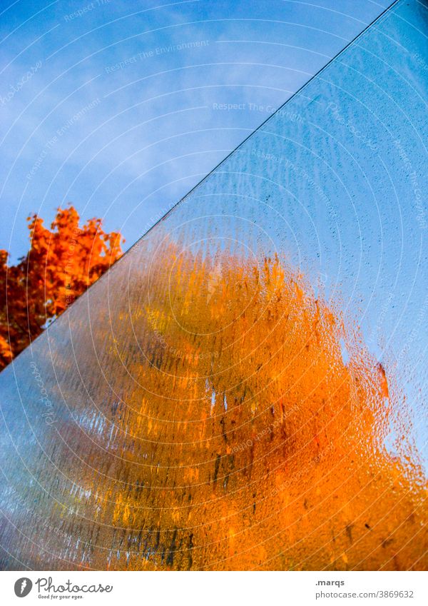 Tschüss Herbst! transparent Glasscheibe Beschlagen Farbe gelb orange blau Himmel Schönes Wetter Laubbaum feucht schemenhaft