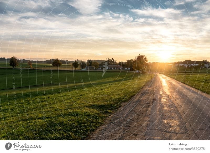 Abendlichte Landschaft Straße Wiese Natur Dämmerung Gegenlicht Mühlviertel Sonne Sonnenlicht Aussicht Alpen Berge Himmel Horizont Bäume Häuser Landwirtschaft