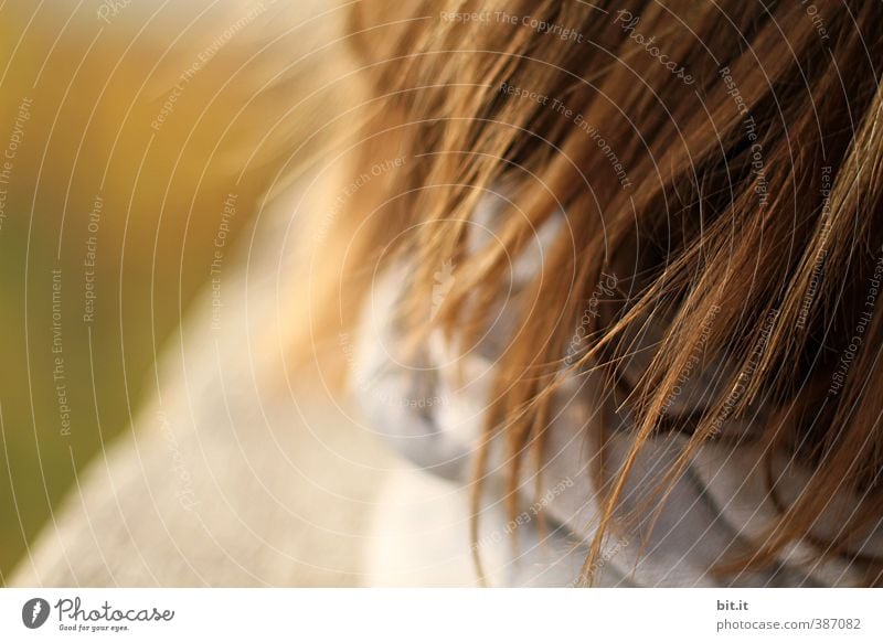 Sonnenreflexed und relaxed schön Körperpflege Meditation feminin Kind Mädchen Kindheit Kopf Haare & Frisuren 1 Mensch Sommer Herbst Schönes Wetter brünett