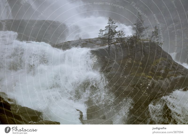 Norwegen Umwelt Natur Landschaft Pflanze Wasser Baum Felsen Wasserfall Låtefossen dunkel nass natürlich wild Stimmung Klima fließen Rauschen Gischt Farbfoto