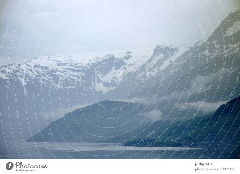 Norwegen Umwelt Natur Landschaft Wasser Wolken Nebel Felsen Berge u. Gebirge Schneebedeckte Gipfel Fjord außergewöhnlich dunkel kalt natürlich Stimmung Idylle