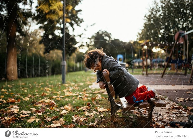 Kind spielt im Park Herbst authentisch Herbstlaub herbstlich fallen Mädchen Natur Herbstfärbung Außenaufnahme Blatt Farbfoto Herbstwetter Umwelt Blätter Tag