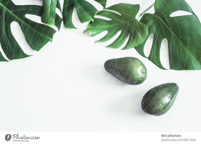 Avocado mit tropischen Blättern auf weißem Hintergrund Salatbeilage vereinzelt frisch Lebensmittel Frucht grün Gesundheit Natur organisch Sommer Vegetarier