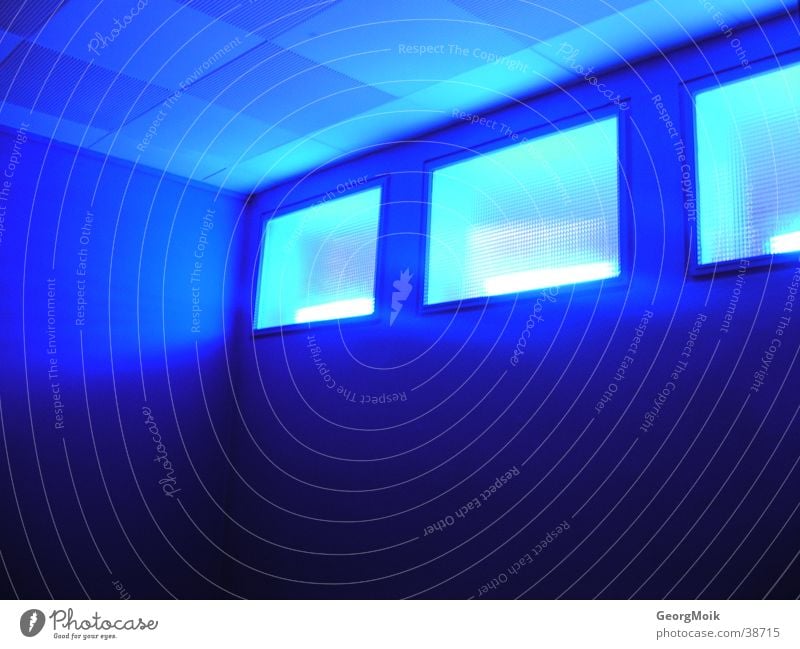 blue lights Licht Warnleuchte Fenster Fototechnik blau Raum streichen Stehleiter 3 drei Beleuchtung room
