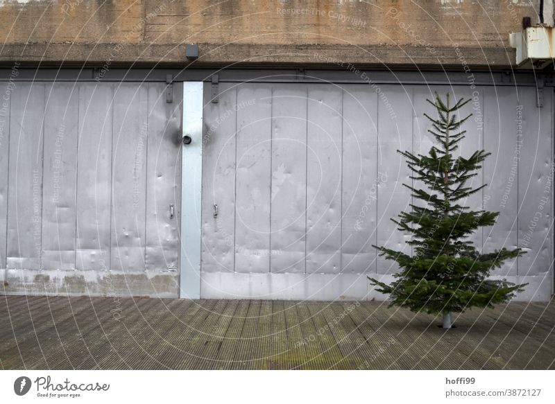 schmuckloser Weihnachtsbaum vor alter Lagerhalle -  traurige Weihnachten Armut Traurigkeit Einsamkeit Enttäuschung Erschöpfung außergewöhnlich Baum