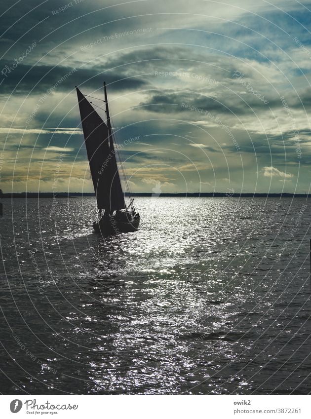 Hart Steuerbord Bootsfahrt Schifffahrt Zeesboot Rundreise Bucht Saaler Bodden Vorpommersche Boddenlandschaft Schönes Wetter Horizont Wolken Himmel Wasser