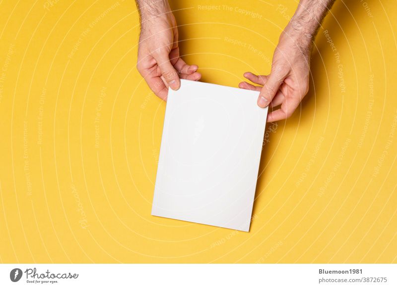 Männerhände halten einen geschlossenen Buchkatalog mit leerem Einband auf gelbem Hintergrund Attrappe editierbar Wandel & Veränderung katalogisieren Deckung