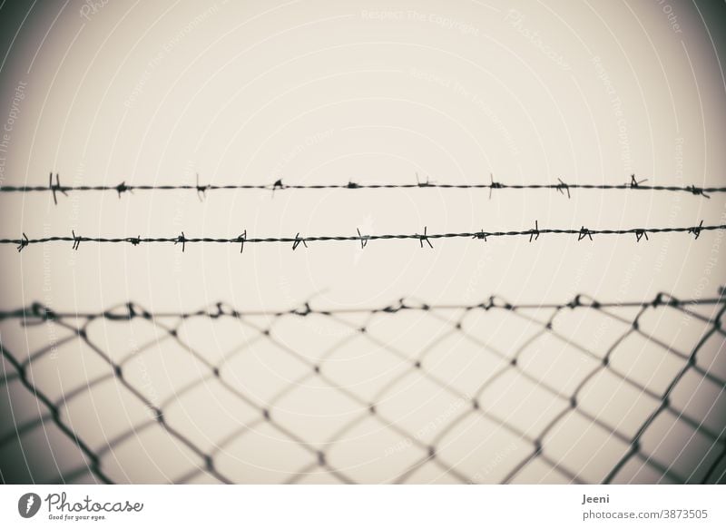 Stacheldrahtzaun - gefangen oder frei Zaun Draht Maschendrahtzaun Schutz Barriere Absperrung Grenze Metall Gefangenschaft bedrohlich Verbote