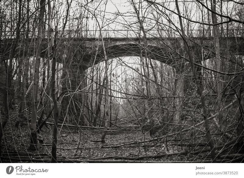 Alte Eisenbahnbrücke im Wald - verlassener Ort, zugewachsen mit Bäumen und Sträuchern Brücke Bahnschienen alt menschenleer marode dunkel düster allein