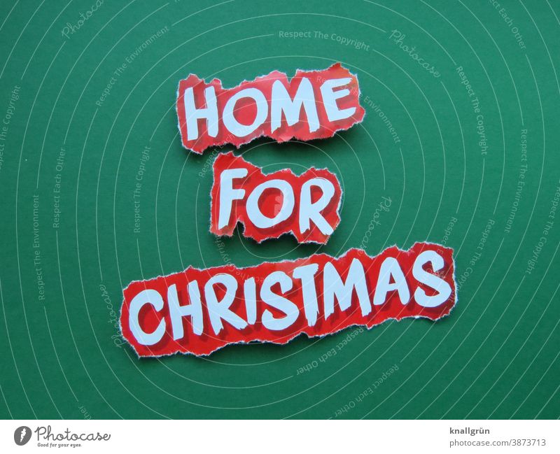 Home for Christmas Weihnachten & Advent Familie & Verwandtschaft Zusammensein zu Hause Feste & Feiern gemeinsam Tradition heimelig besinnlich Winter Feiertage