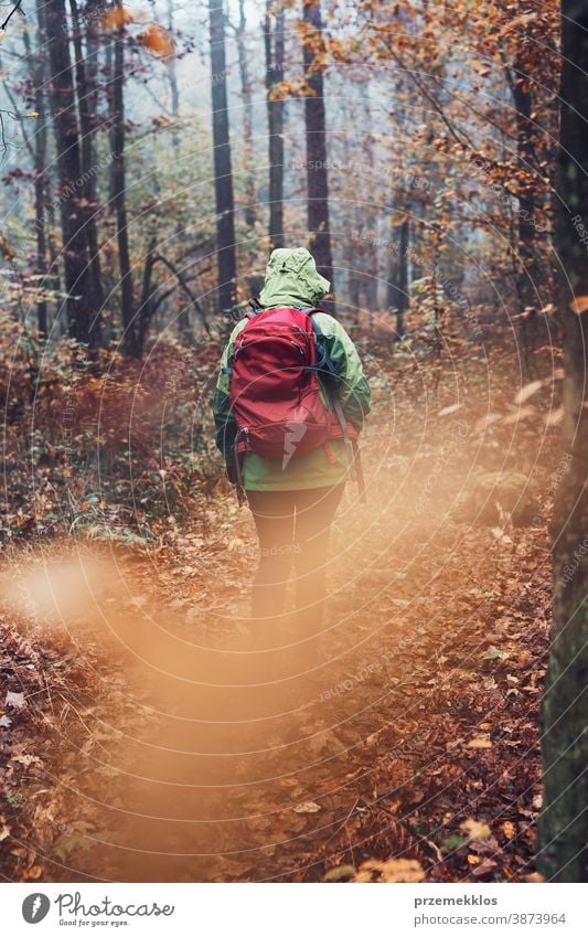 Frau mit Rucksack wandert an einem herbstlich kalten Tag durch den Wald aktiv Aktivität Abenteuer Herbst Backpacker Ausflugsziel genießen Erkundung erkunden