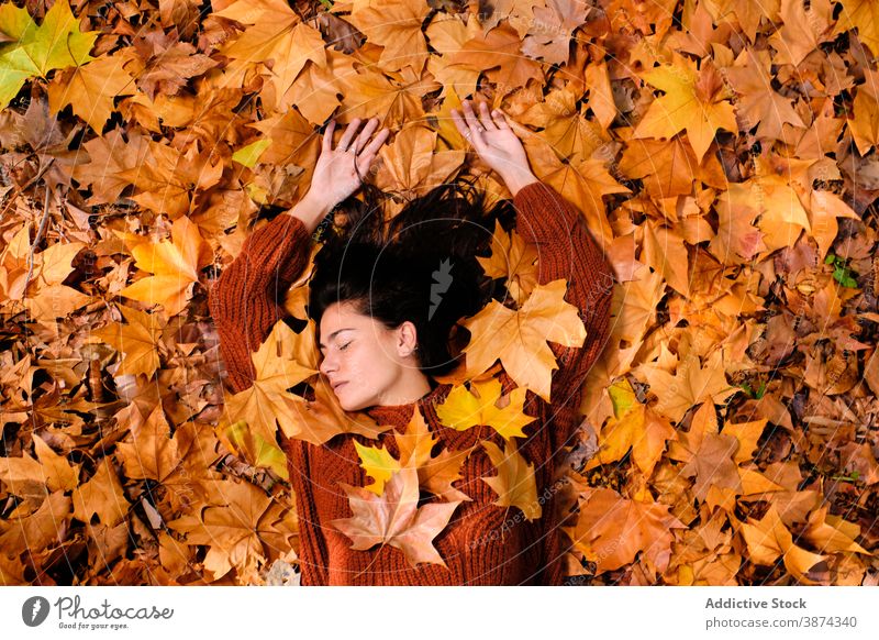 Junge Frau liegt auf Herbst Blätter im Park Laubwerk Blatt Ahorn Kälte sich[Akk] entspannen Farbe fallen Lügen Windstille Augen geschlossen sinnlich träumen
