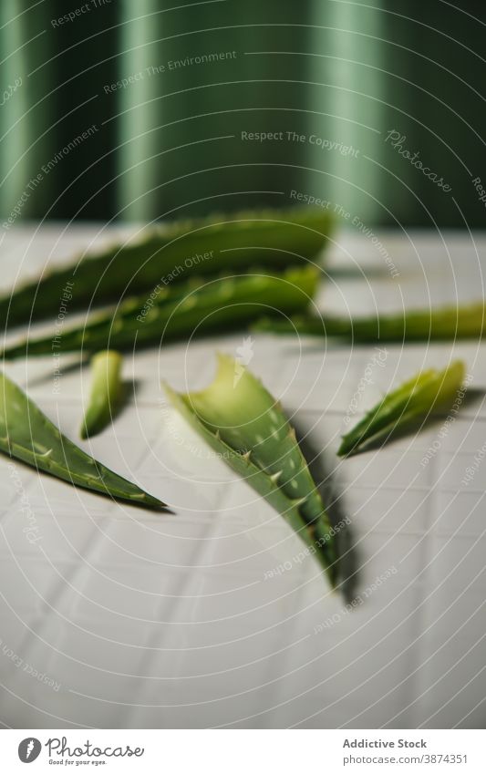 Grüne Aloe Blätter auf weißem Tisch Pflanze Blatt grün hell Segment Detailaufnahme natürlich organisch kreativ Spielfigur frisch Flora Botanik Kraut Natur