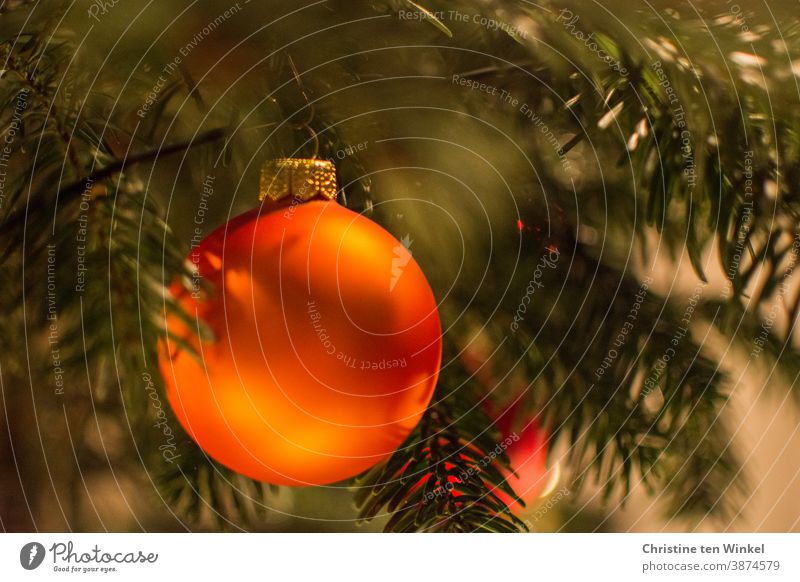 orange Christbaumkugel hängt am Weihnachtsbaum Weihnachten & Advent Weihnachtsdekoration Baumschmuck Kugel Tradition glänzend Dekoration & Verzierung