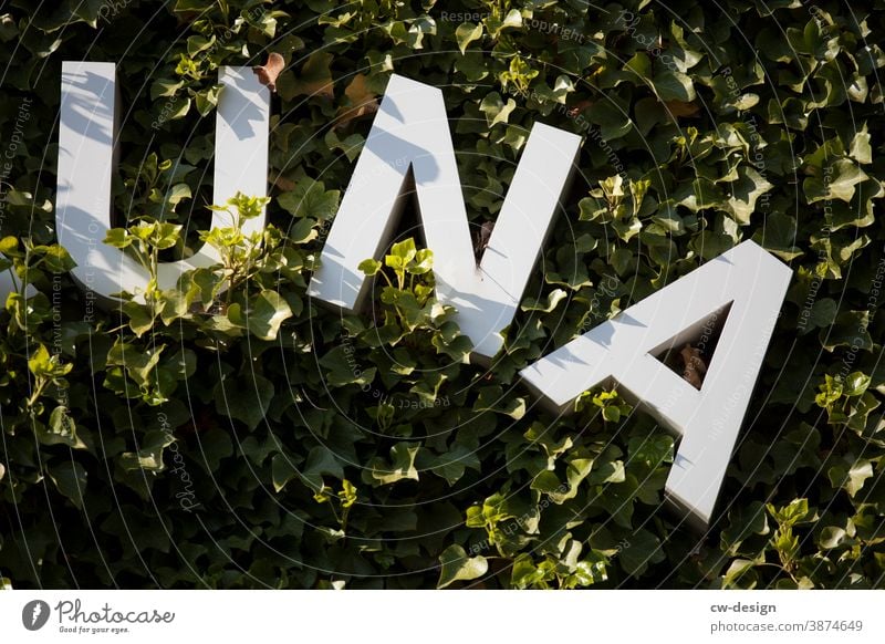 UNA - Schriftzug an begrünter Hausfassade una Buchstaben weiß Natur Fassade Fassadenbegrünung Grüne Lunge Außenaufnahme grüne lunge Umwelt Blatt Pflanze Garten