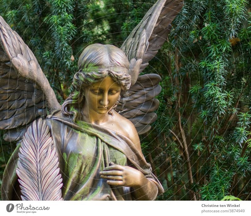 Trauriger Engel auf einem Friedhof vor dem Grün einer Eibe Statue traurig Stille Gedenken Trauer Traurigkeit Tod Religion & Glaube Frieden Vergänglichkeit