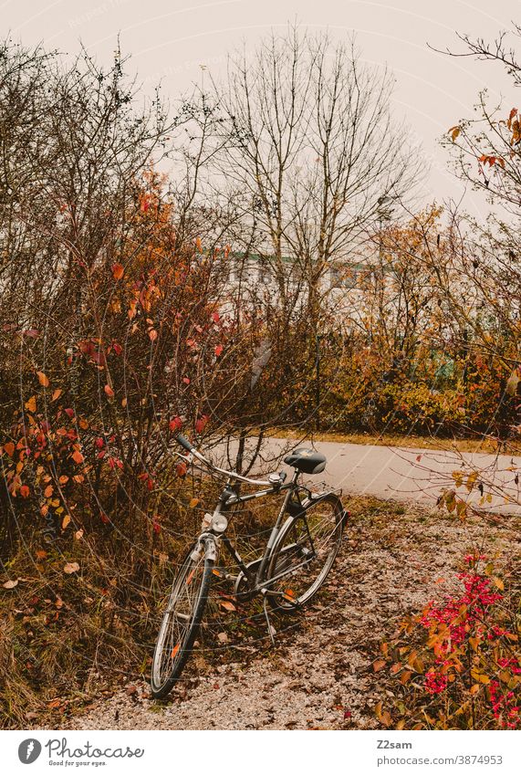 Einsames Fahrrad in Herbstlandschaft fahrrad herbst herbstlandschaft parken abstellen herrenfahrrad nachhaltigkeit Rad Verkehrsmittel Stadt Straße Farbfoto