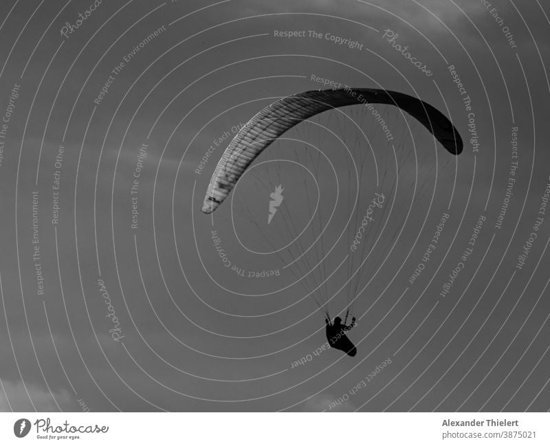 Gleitschirme in der Luft als Silhouette vor Wolken Gleitschirmfliegen Fallschirm Person Gleitschirm-Piloten Schwarzweißfoto Gleitschirm-Regenschirm Air Sonne