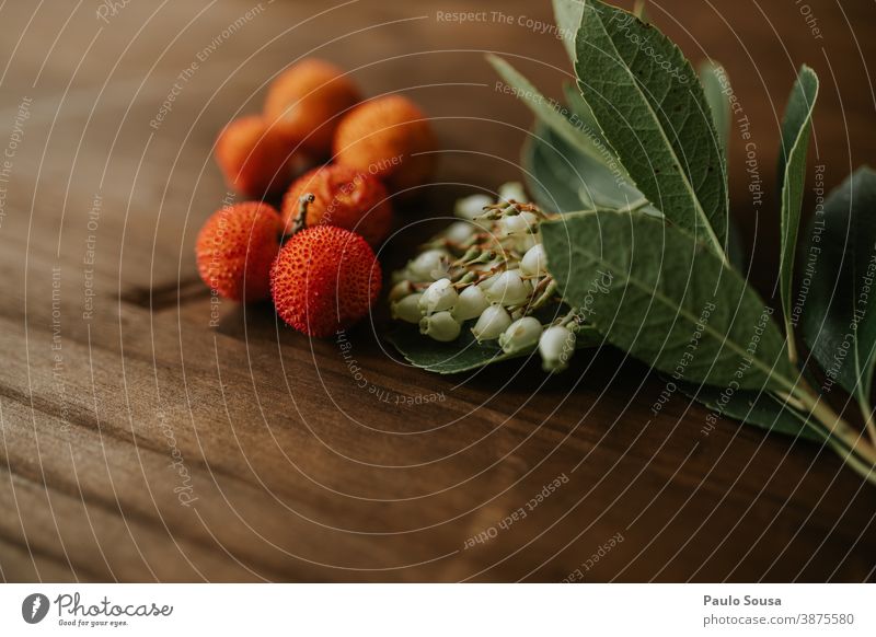 Arbutus unedo Obst und Blumen Erdbeerbaum Ericaceae mediterran Mediterrane Küche Frucht Bioprodukte organisch Vitamin Diät Gesunde Ernährung Farbfoto lecker