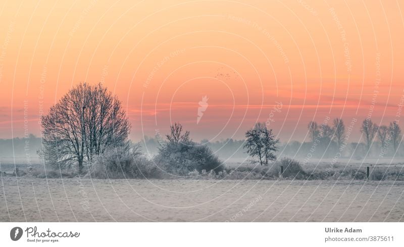 Winterlandschaft Teufelsmoor bei Worpswede / Bremen im herrlichen Sonnenaufgang Nebel Deutschland Osterholz-Scharmbeck Raureif ruhig weiß Himmel Wolken Klima