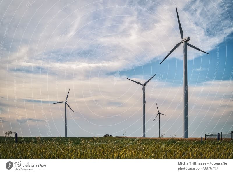 Windräder auf dem Feld Windkraftanlage Erneuerbare Energie Technik & Technologie Energiewirtschaft Landwirtschaft Nachhaltigkeit Elektrizität Strom Zaun Himmel