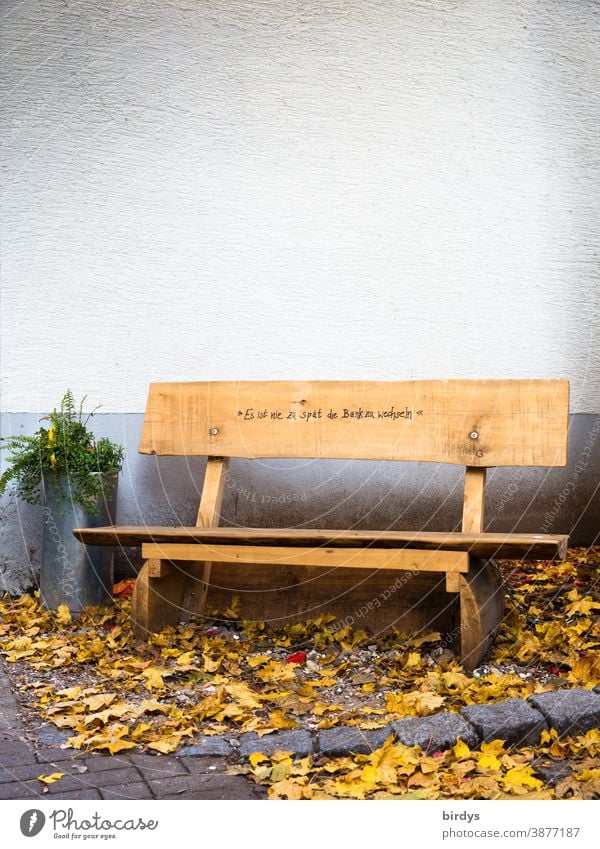 öffentliche Holzbank, Sitzgelegenheit mit der Aufschrift "es ist zu spät die Bank zu wechseln " Doppeldeutigkeit Schriftzeichen Humor Herbstlaub Sitzecke Pause