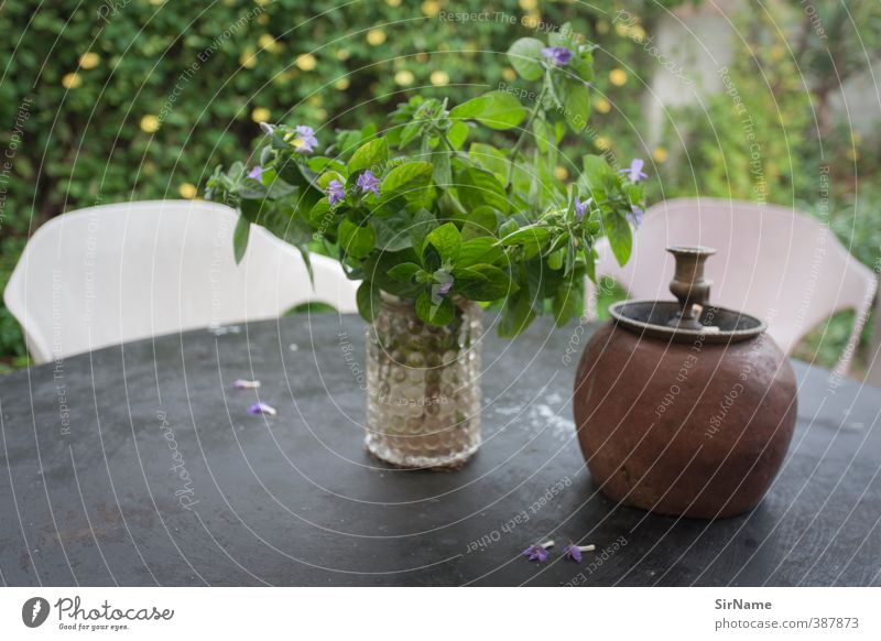 236 [green home] Häusliches Leben Garten Pflanze Tisch Tischplatte Kerzenständer Vase Gartenmöbel Gartenstuhl Frühlingsgefühle bescheiden Erholung Kommunizieren