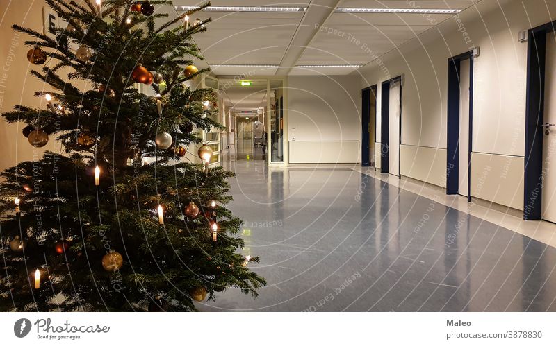 Geschmückter Weihnachtsbaum auf dem Flur des Krankenhauses Hintergrund Weihnachten Dezember Dekoration & Verzierung Winter Feier festlich grün Glück Feiertag