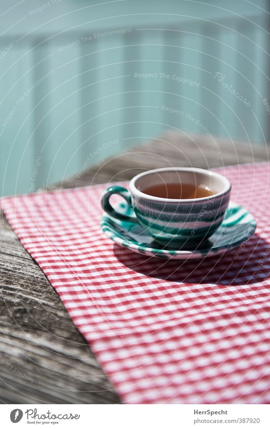 Teatime Getränk Heißgetränk Tee Geschirr Tasse Tisch Restaurant trinken Sommer Schönes Wetter ästhetisch frisch Gesundheit retro grün rot weiß ruhig Holztisch