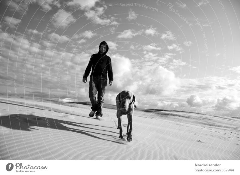 Mann mit Hund auf einer Wanderdüne in Dänemark Ferien & Urlaub & Reisen Abenteuer Ferne Freiheit Expedition wandern Mensch Erwachsene Urelemente Sand Himmel