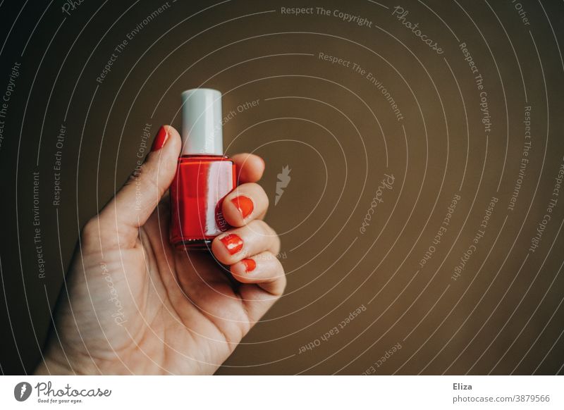 Weibliche Hand mit rot lackierten Fingernägeln hält eine Flasche roten Nagellack feminin Nägel lackieren weiblich Maniküre Frau Kosmetik Beautyfotografie
